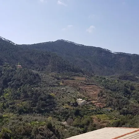 Casa Michelle 