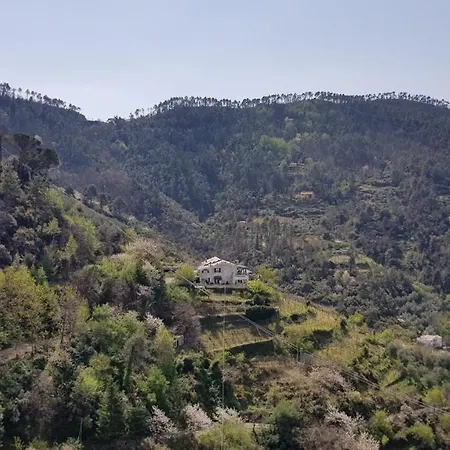 Casa Michelle 