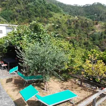 Casa Michelle 