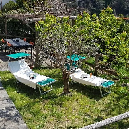 Casa Michelle 