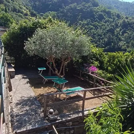 Casa Michelle 